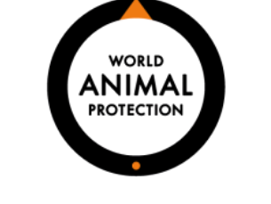 Logotipo de World Animal Protection con un diseño circular en negro y naranja.